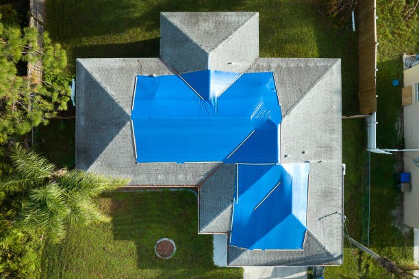 Best Asphalt Shingle Roofing  in Shelby, OH