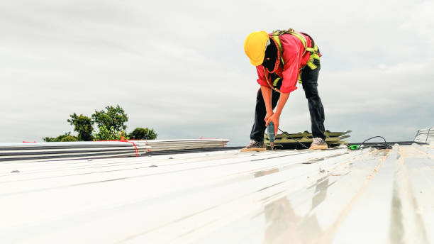 Best Cold Roofs  in Shelby, OH