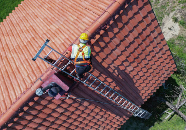 Best Roof Leak Repair  in Shelby, OH
